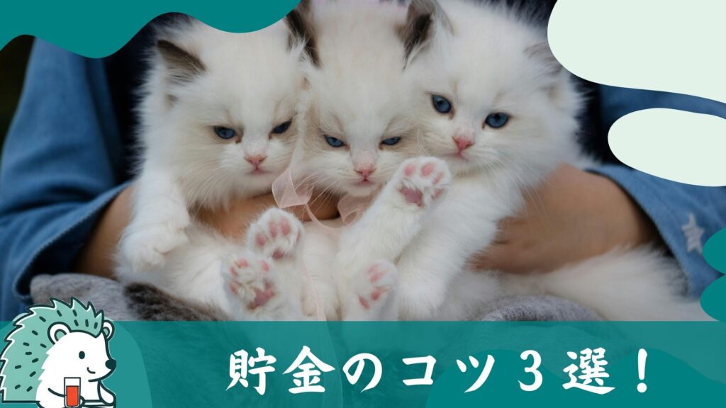 貯金のコツ3選!